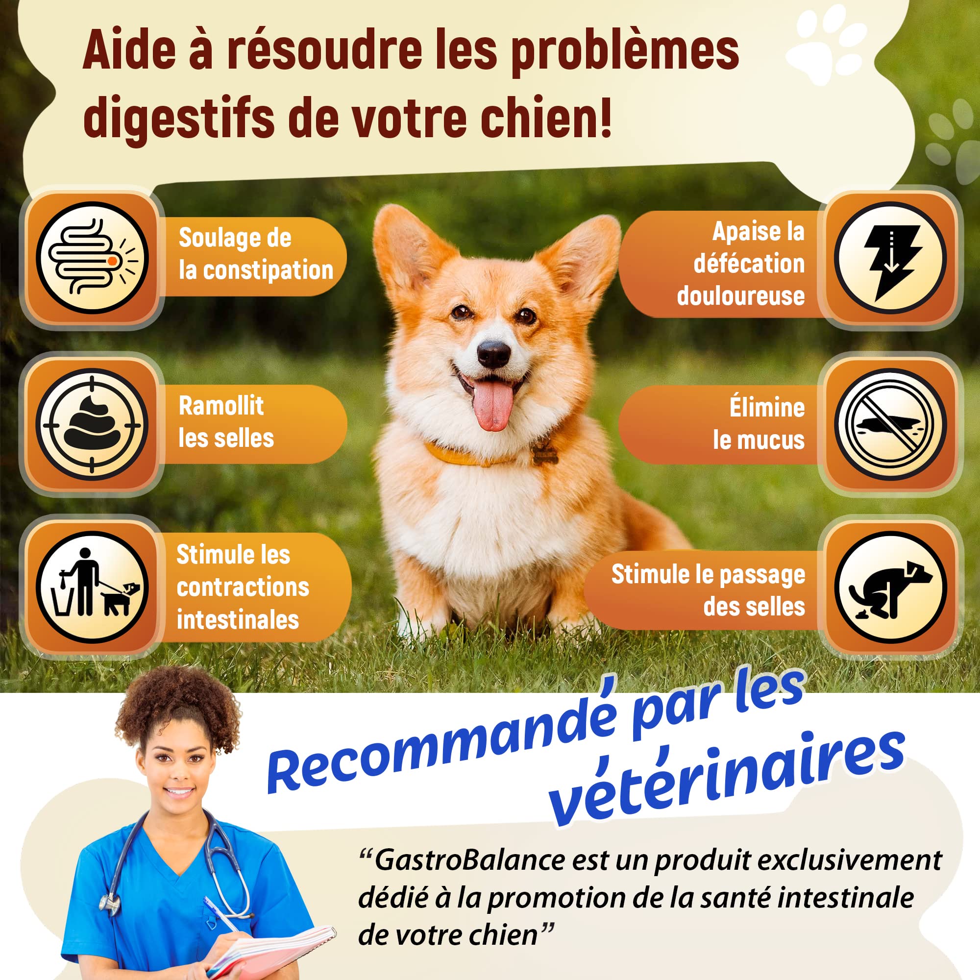 soulagement Constipation Chien - 60 croquettes laxatives adoucissant selles de Chiens - goût Bacon (Francais)