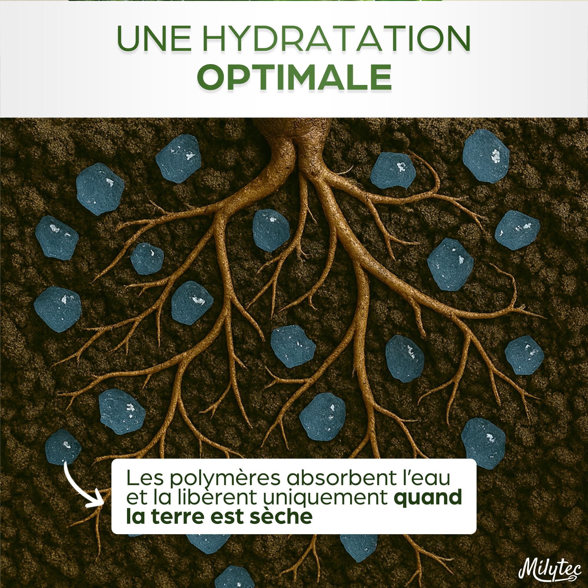 Granulés Gel Rétenteur d’Eau pour Plantes | Arrosage Automatique Pendant Les Vacances | Intérieur et extérieur | E-Book Offert | Sachet de 500 g | Convient pour 600 litres de terreau
