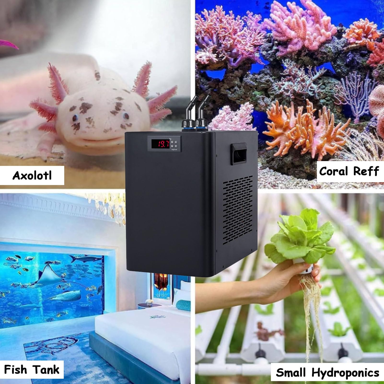 Enfriador de Acuario silencioso para Tanques de 42 galones, Enfriador de Agua Ajustable con evaporador de Titanio, Sistema de enfriamiento de Tanques de Peces de bajo Ruido para Plantas de camarón de