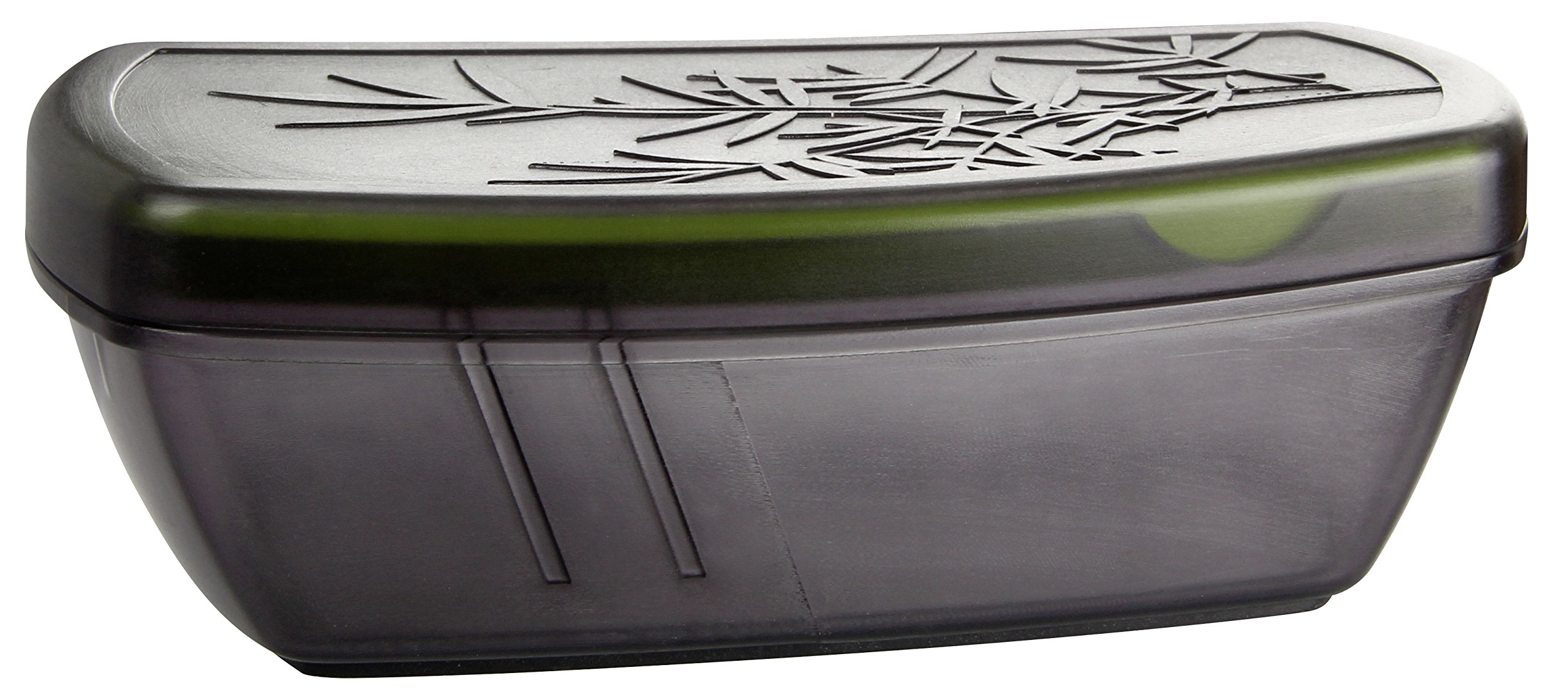 Fackelmann Ginger grater, slicer with storage container, Plastic, grey and green