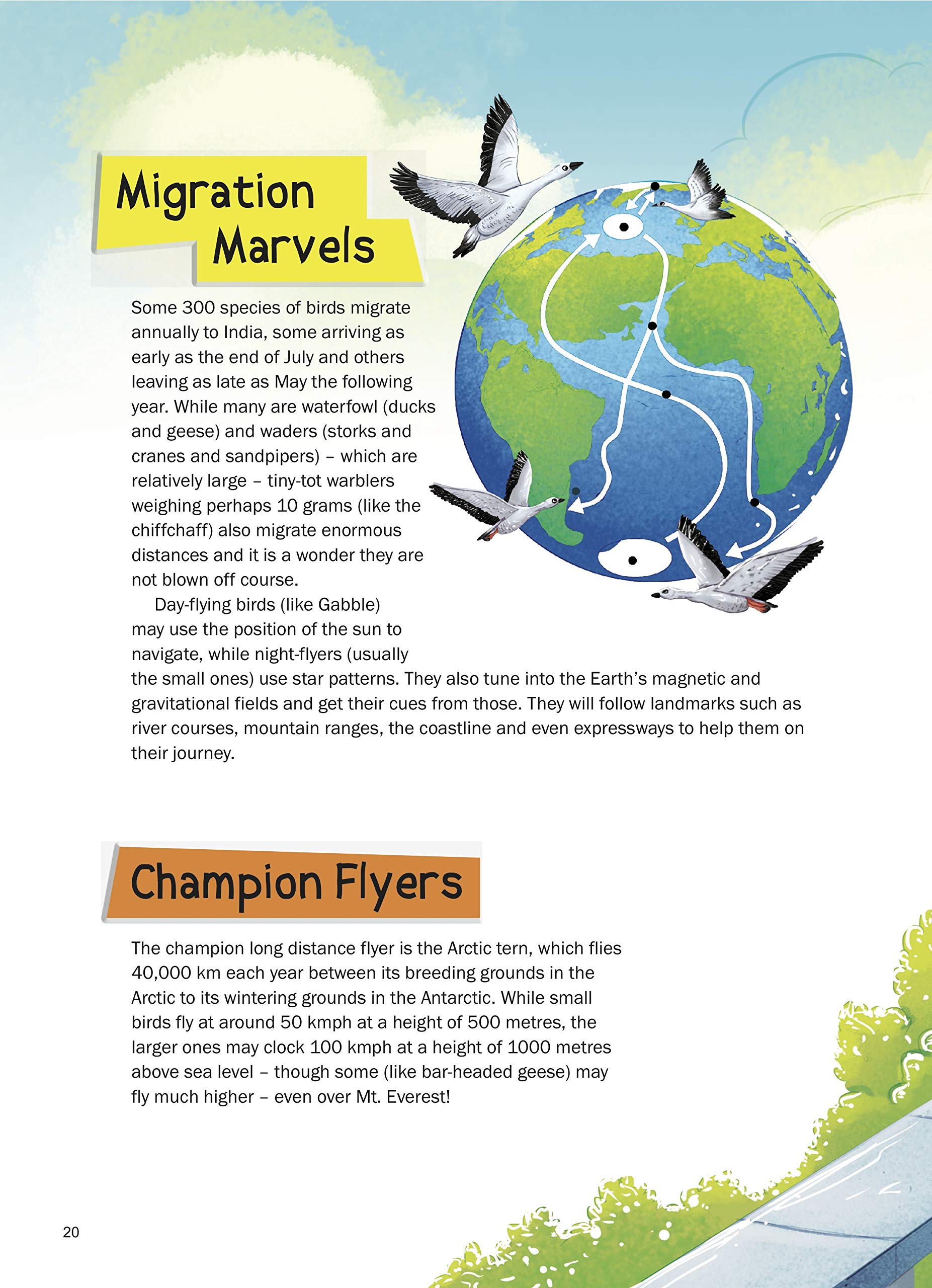 365 Nature Stories: Tales of Animals, Plants, Ecosystems & Natural Wonders | Daily Inspirational Stories for Kids & Families | Illustrated Storybook About Wildlife & the Environment | Ages 8+ 4