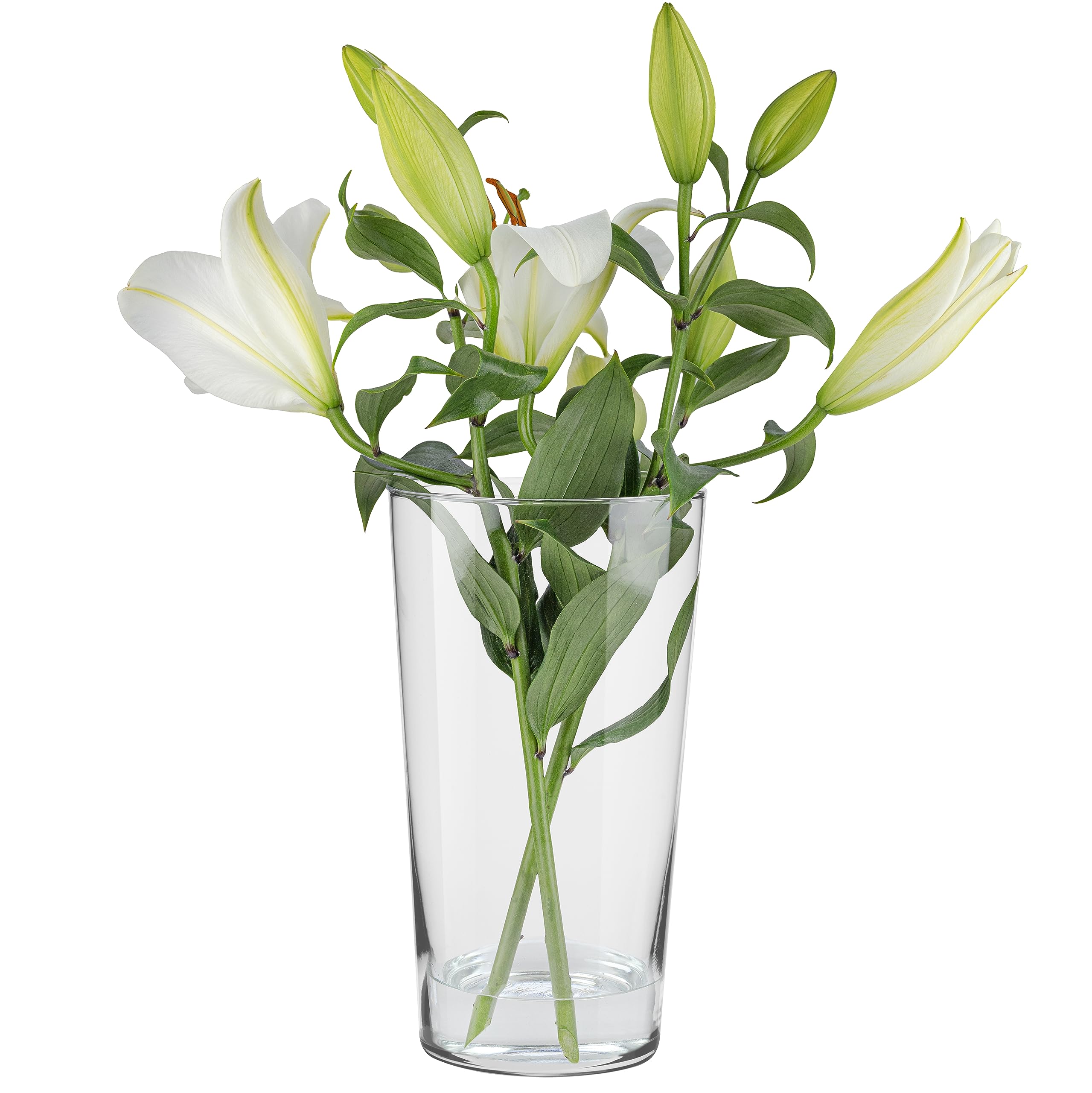 TREND FOR HOME Alyssa Vase à fleurs moderne en verre, haut : 29,5 cm, vase conique, pour herbe de la pampa, décoration scandinave, bohème, transparent, 16 cm