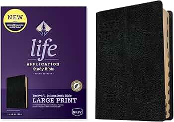 813aa5iLe0L._AC_UF350,