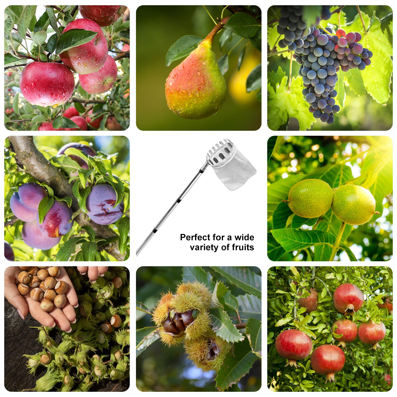 POFIBO Raccogli Frutta Telescopico, 2.2m Raccogli da Frutta con Manico Telescopico Raccogli Fichi Raccoglitrice Mele Ausilio per la Raccolta di Ciliegie Mele Prugne Alberi da Frutto