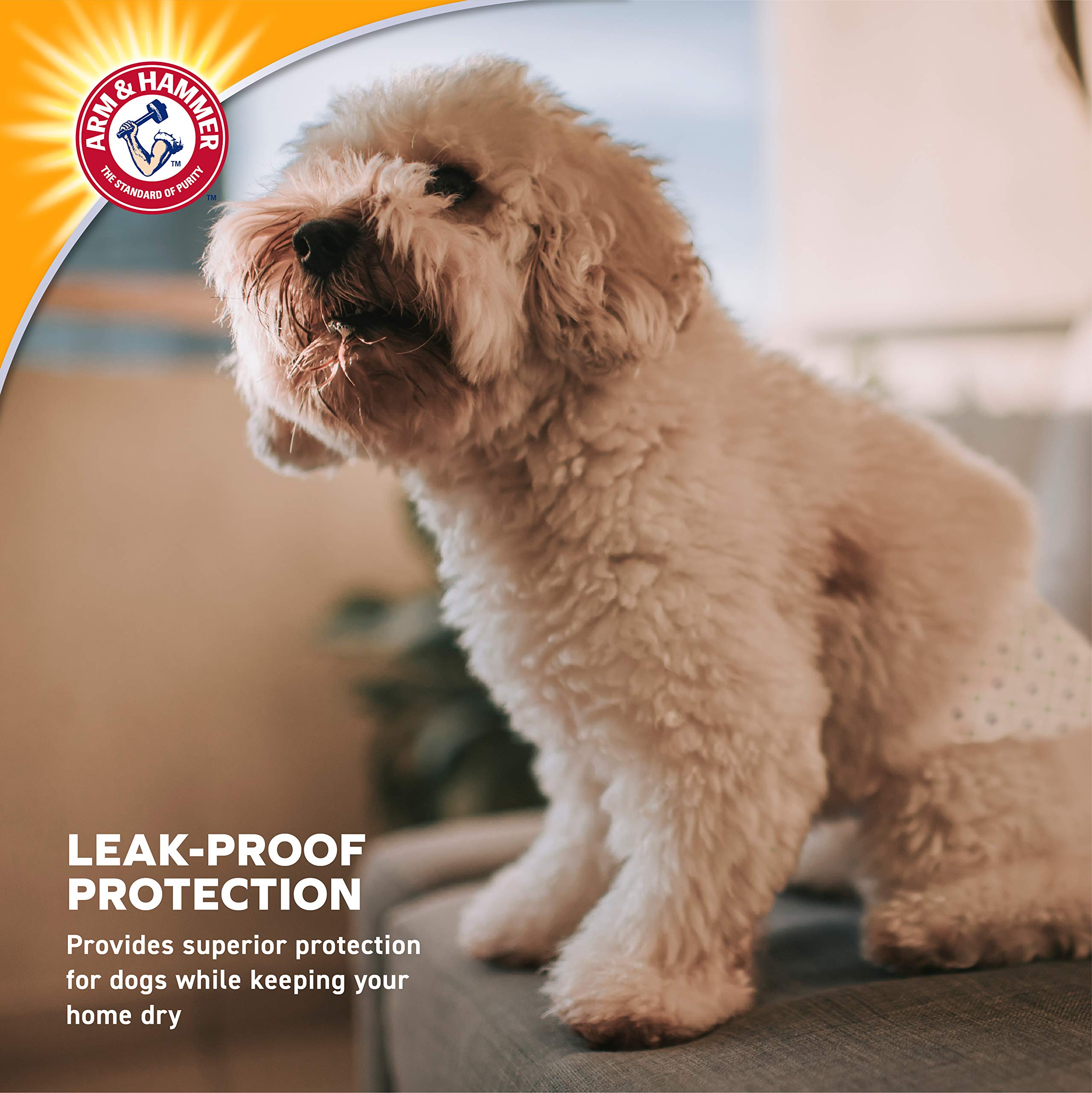 Arm & Hammer Pañales para perros machos, ultraabsorbentes, ajustables, con protección a prueba de fugas e indicador de humedad (paquete de 6, 72 unidades en total)