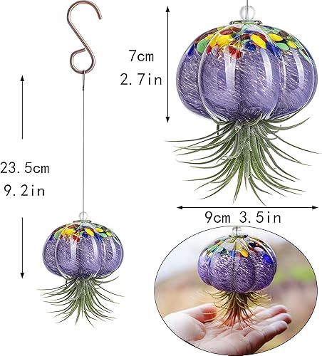 Miniatura 6 de H&D HYALINE & DORA Macetero de cristal soplado a mano colgante, medusas, decoración de terrario para jardín, porche, ventana, alféizar (sin plantas)