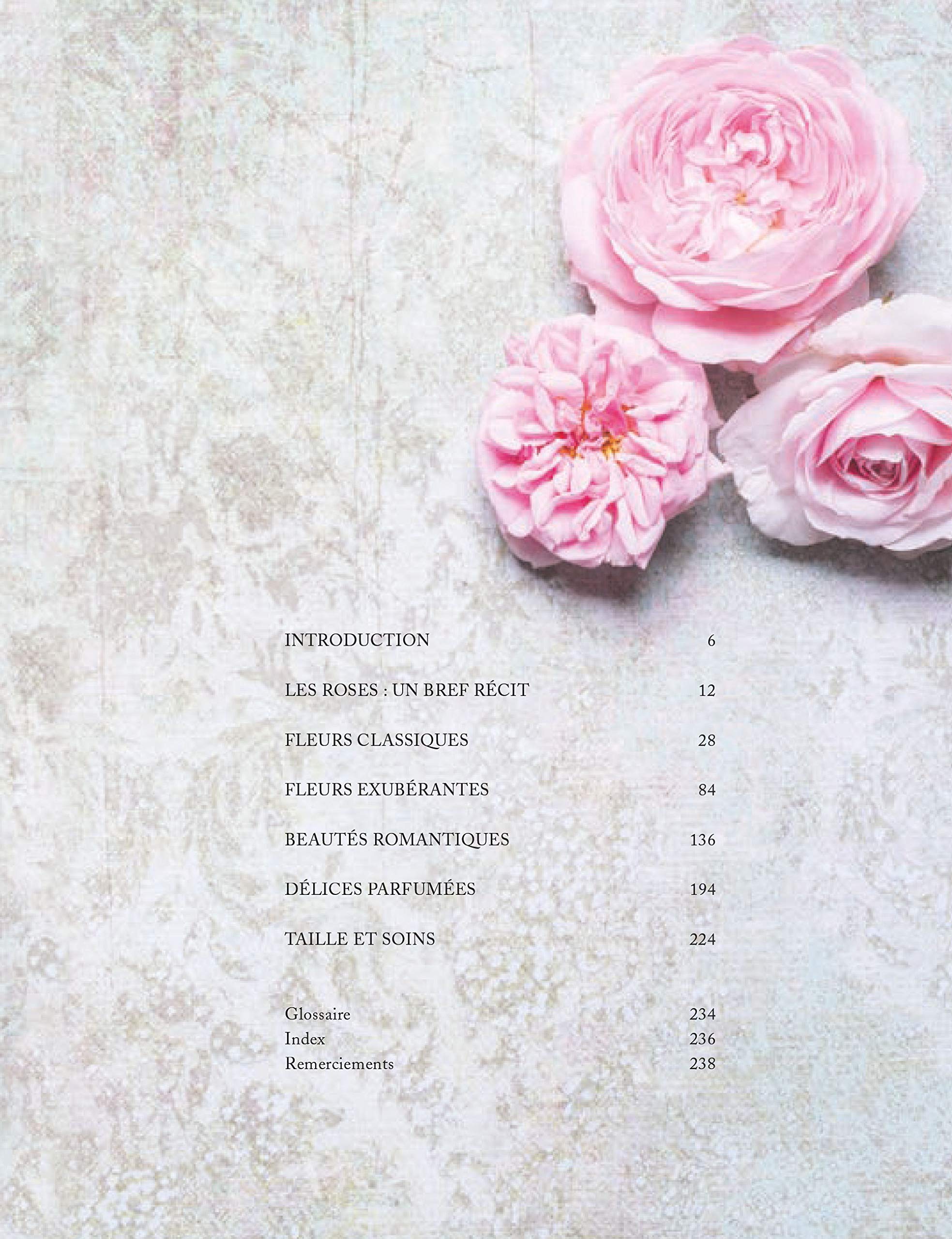 Roses vintage: Des roses anciennes aux roses nouvelles : une histoire illustrée