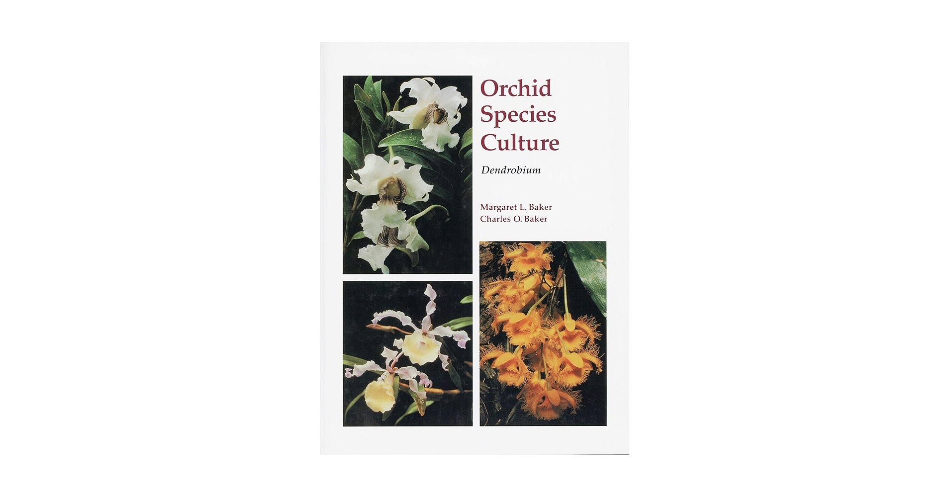 洋書 Orchid Species Culture : Dendrobium Orchid Species Culture: Dendrobium (Orchard Species Culture
