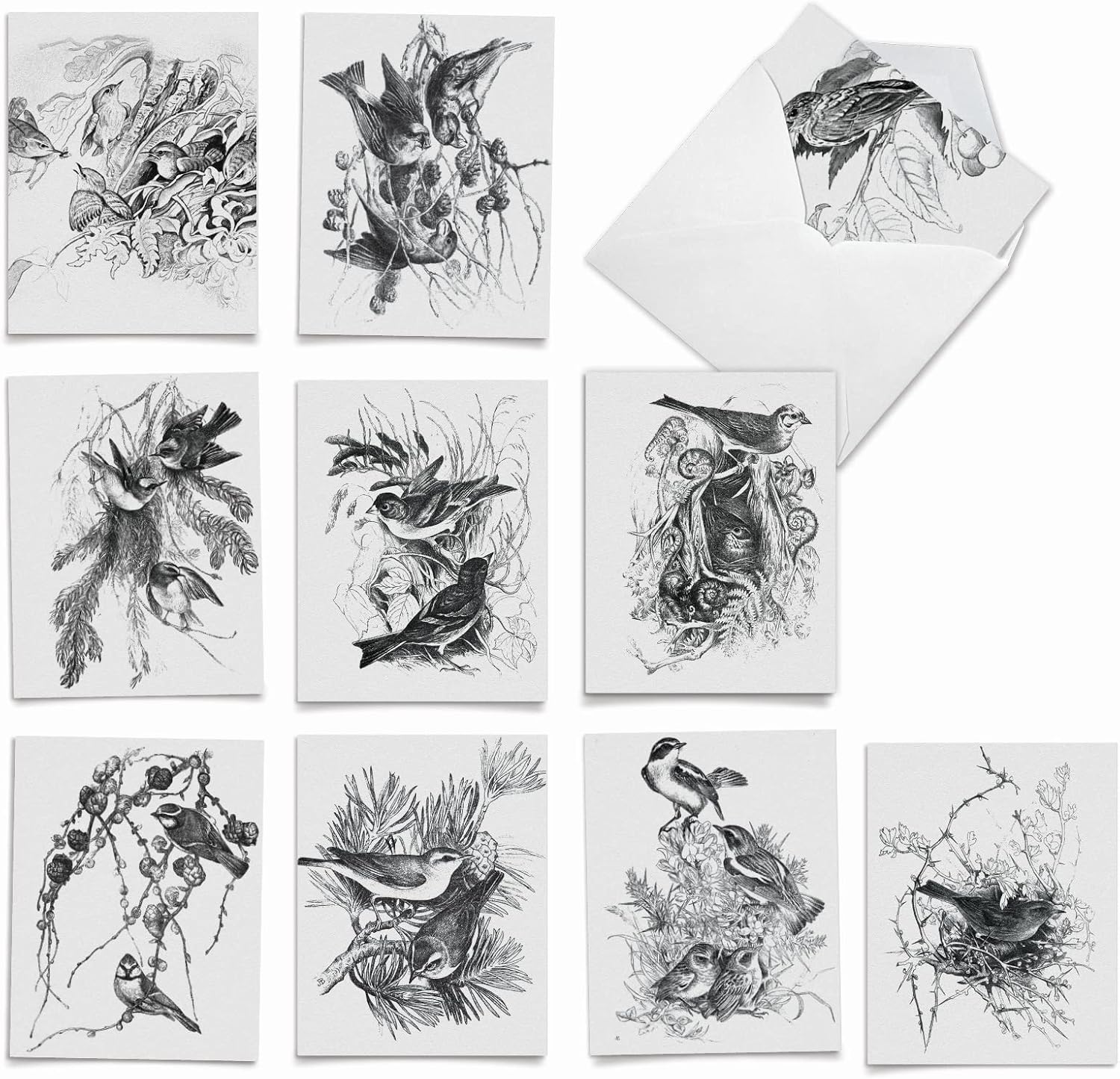 The Best Card Company - Boxed Set of 10 Bird Thank You Notecards with Envelopes 4 x 5.12 inch, Feathered Animal Gratitude - Wing Notes M6475TYG