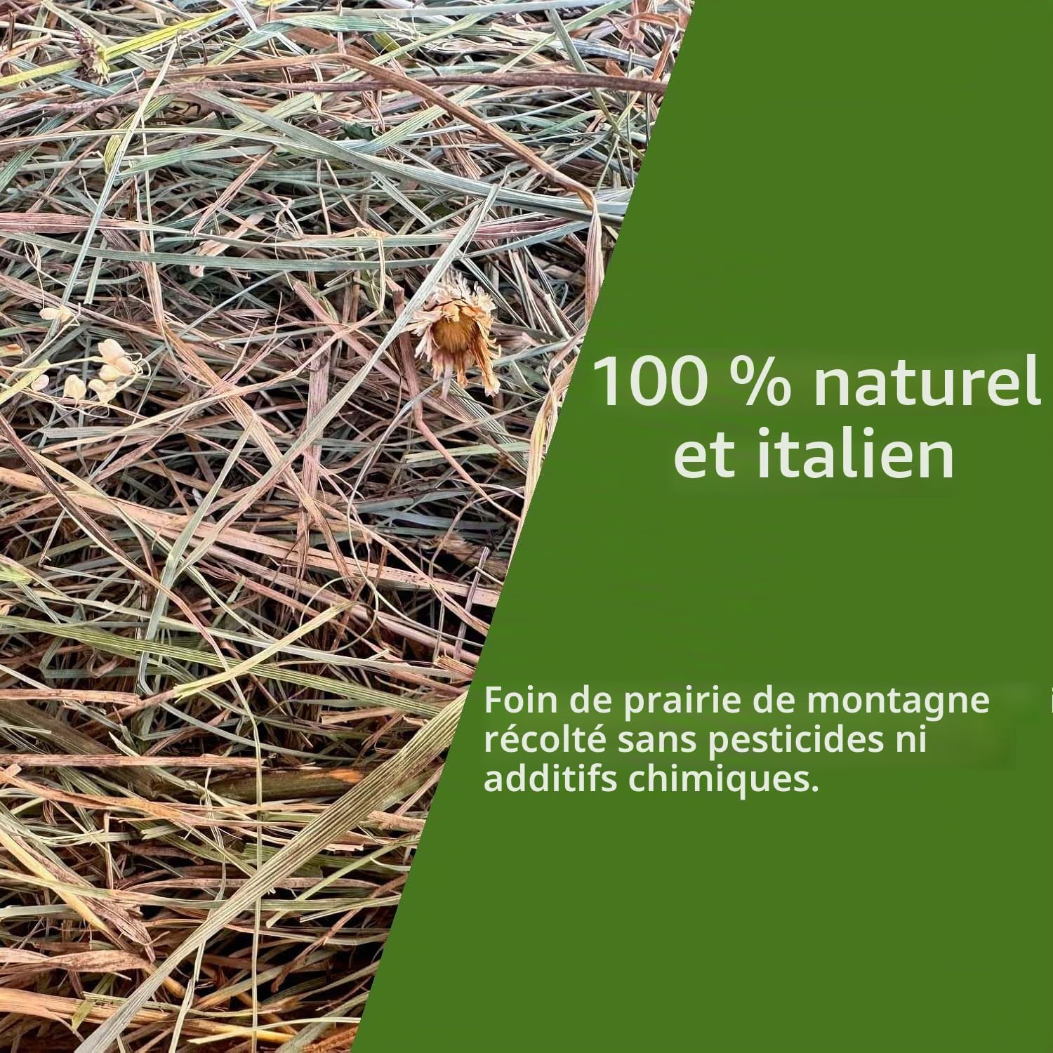 Foin naturel pour lapins 10 kg | Danse de foin italienne de prairie de montagne séchée au soleil | Nourriture pour cochons d'Inde, Chinchilla, lapins nains, chevaux, poulets et rongeurs