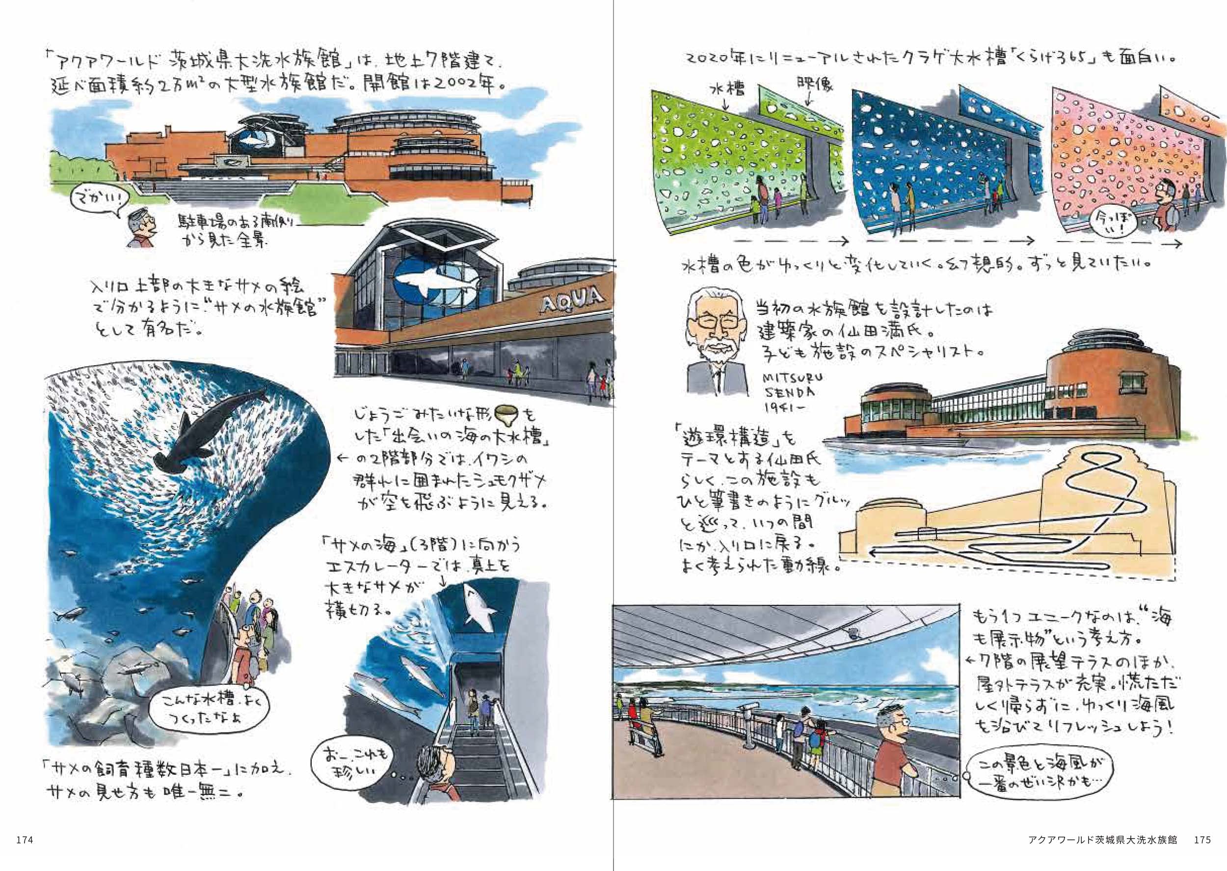 イラストで読む建築 日本の水族館 五十三次 宮沢 洋 Office Bunga 本 通販 Amazon