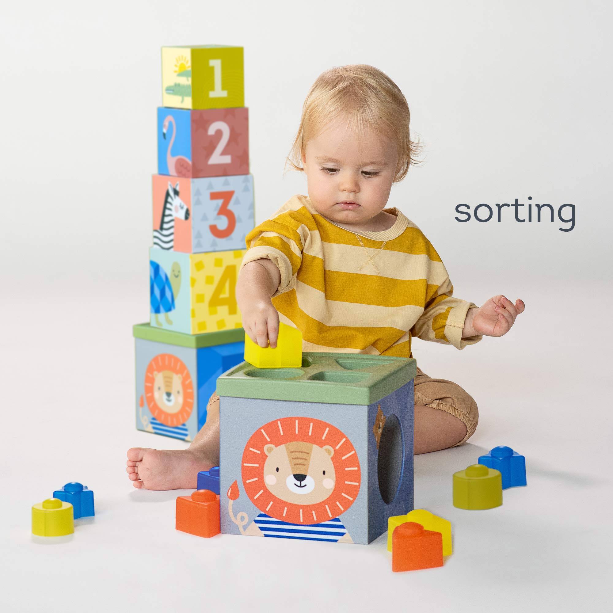 Taf Toys 12725 - Scatola delle Forme Savana