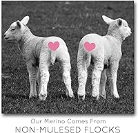 Vista 6 de Tencel Merino superfino teñido a mano para hilar y fieltro. 5 onzas, neblina púrpura