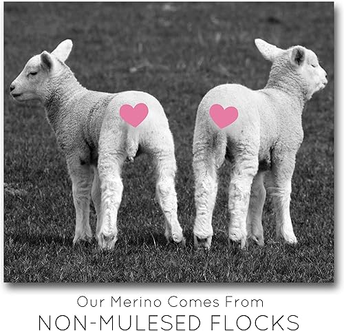 Miniatura 6 de Tencel Merino superfino teñido a mano para hilar y fieltro. 5 onzas, neblina púrpura