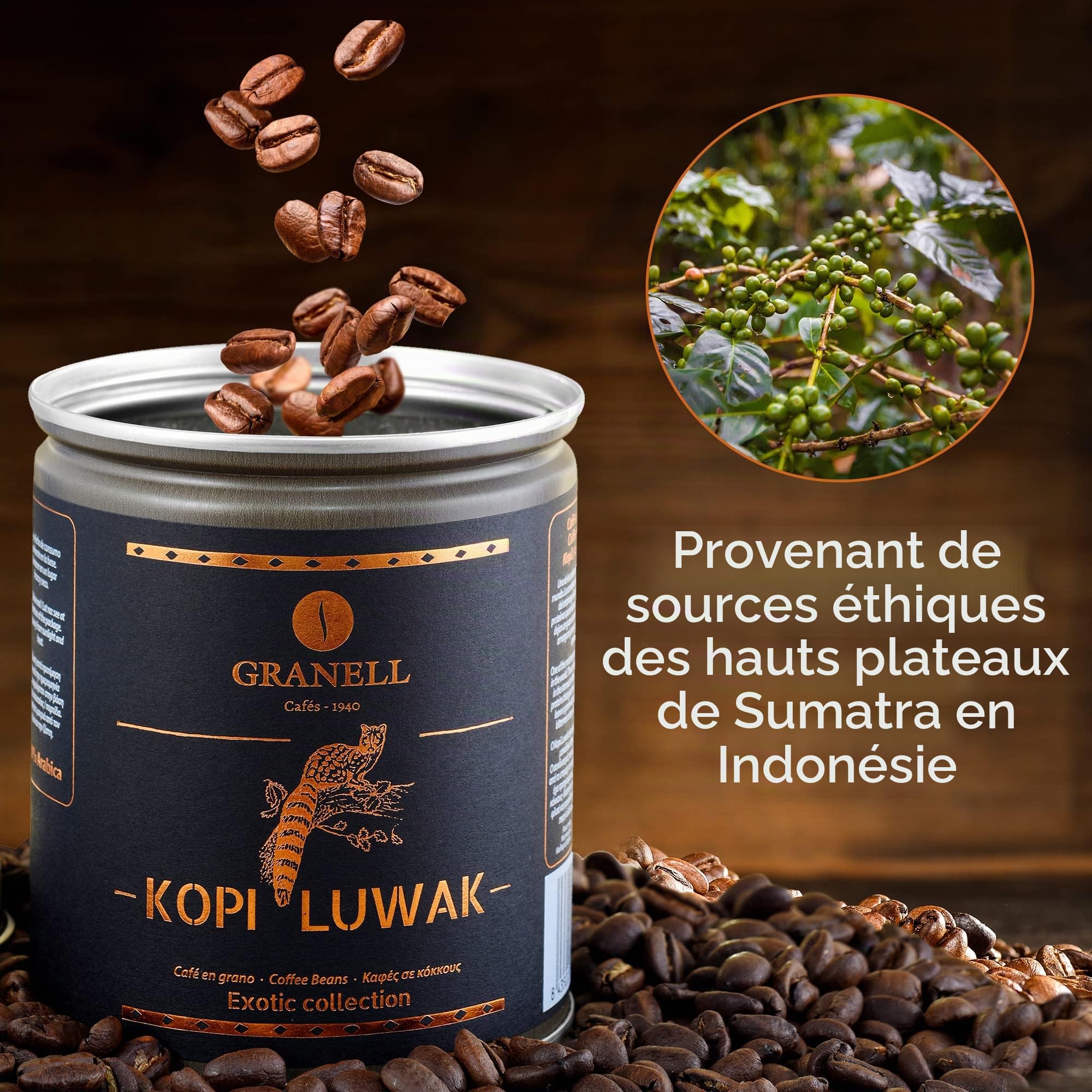 Granell - Kopi Luwak | Café en Grain 100% Arabica | Café Gourmet à l'Arôme et à l'Amertume Marqué, Premium - 100 gr