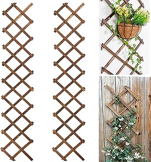 Extensible Natural Garden Wooden Fence Lattice Frame Plant Support Frame Natural Wooden Lattice Frame for Cucumber Climbing Plant Vines Ivy Rose 75"x11.8" Lattice Fence Panel(2Pack)