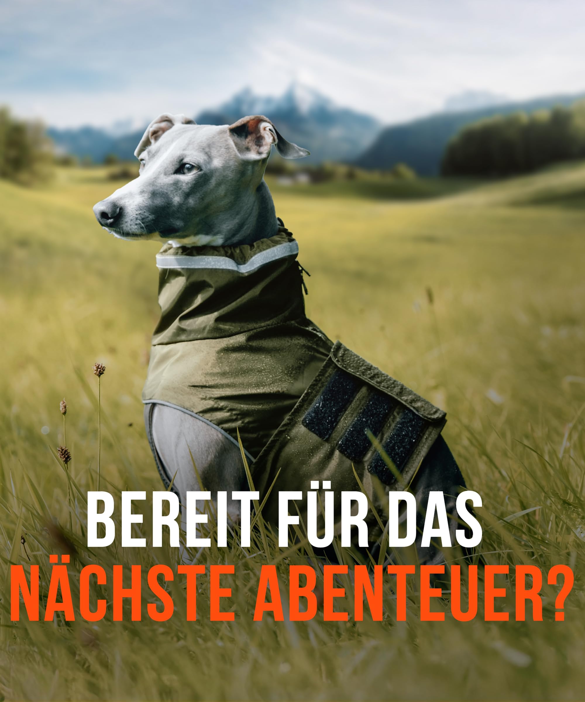 Hunderegenmantel London I Mit extra langem YKK® Reißverschluss für Halsband & Geschirr I Für kleine, mittlere & große Hunde I Wasserdicht & Maschinenwaschbar I Regenmantel für Hunde (45)