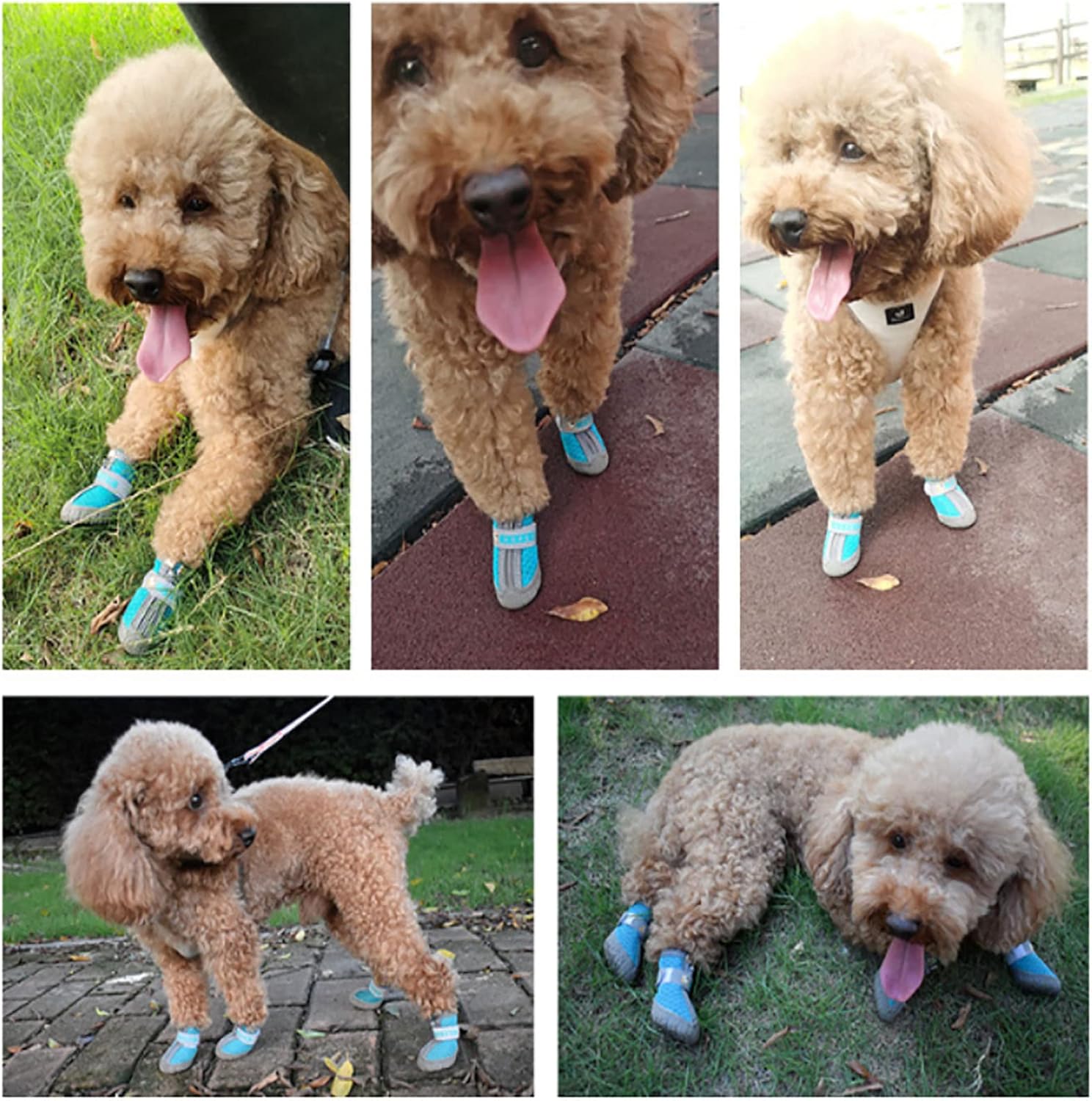 Pet Dog Shoes Mountain Wearable PVC Soles Dog Boots with Non-Slip Rubber Soles Reflective Straps for Walking Running
