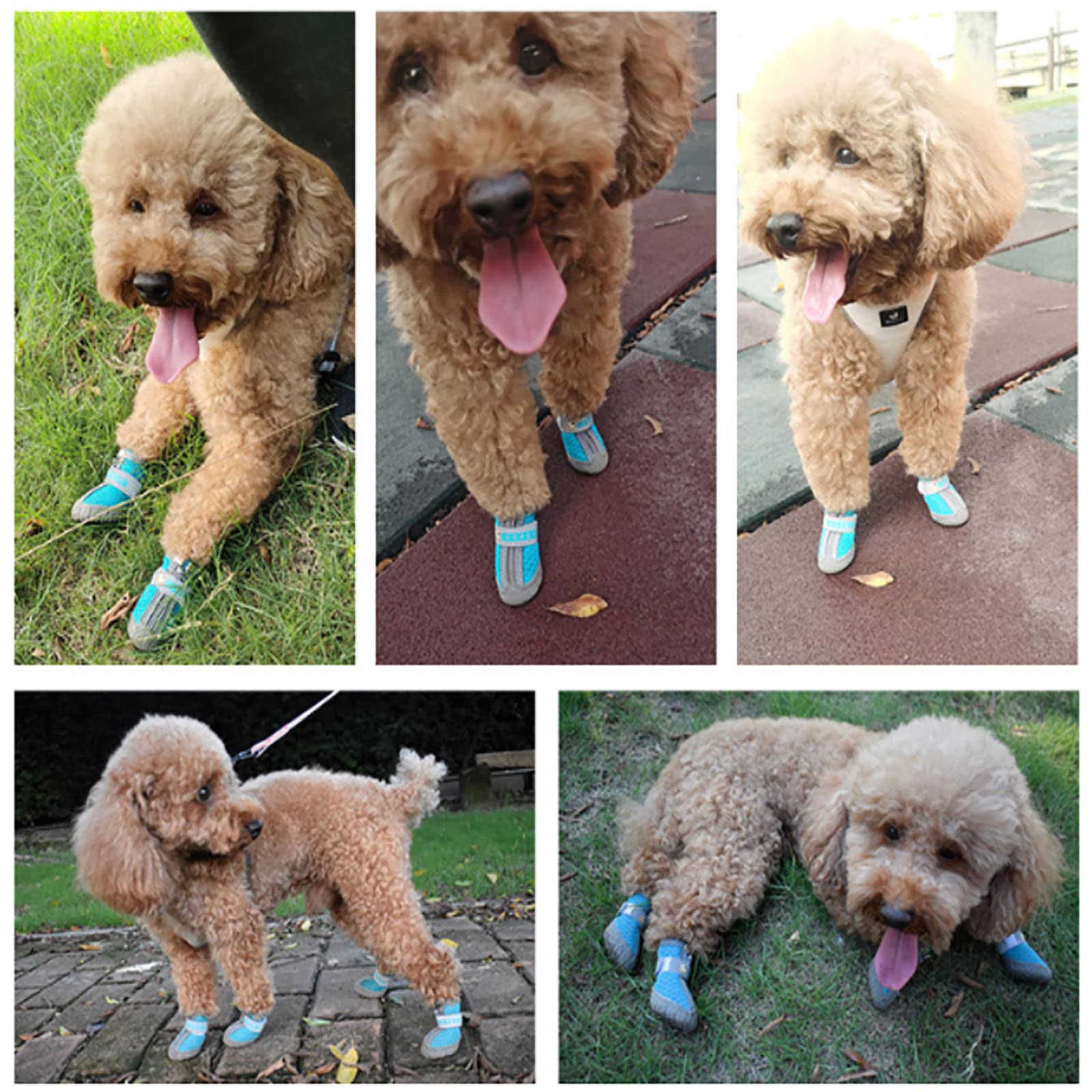 Chaussures pour Chiens de Compagnie Bottes à Semelles en PVC Portables de Montagne avec Semelles en Caoutchouc Antidérapantes Sangles Réfléchissantes pour Marcher et Courir,Green,1(3.5cm3kg)