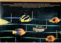 Vista 3 de Original Musiquarium I