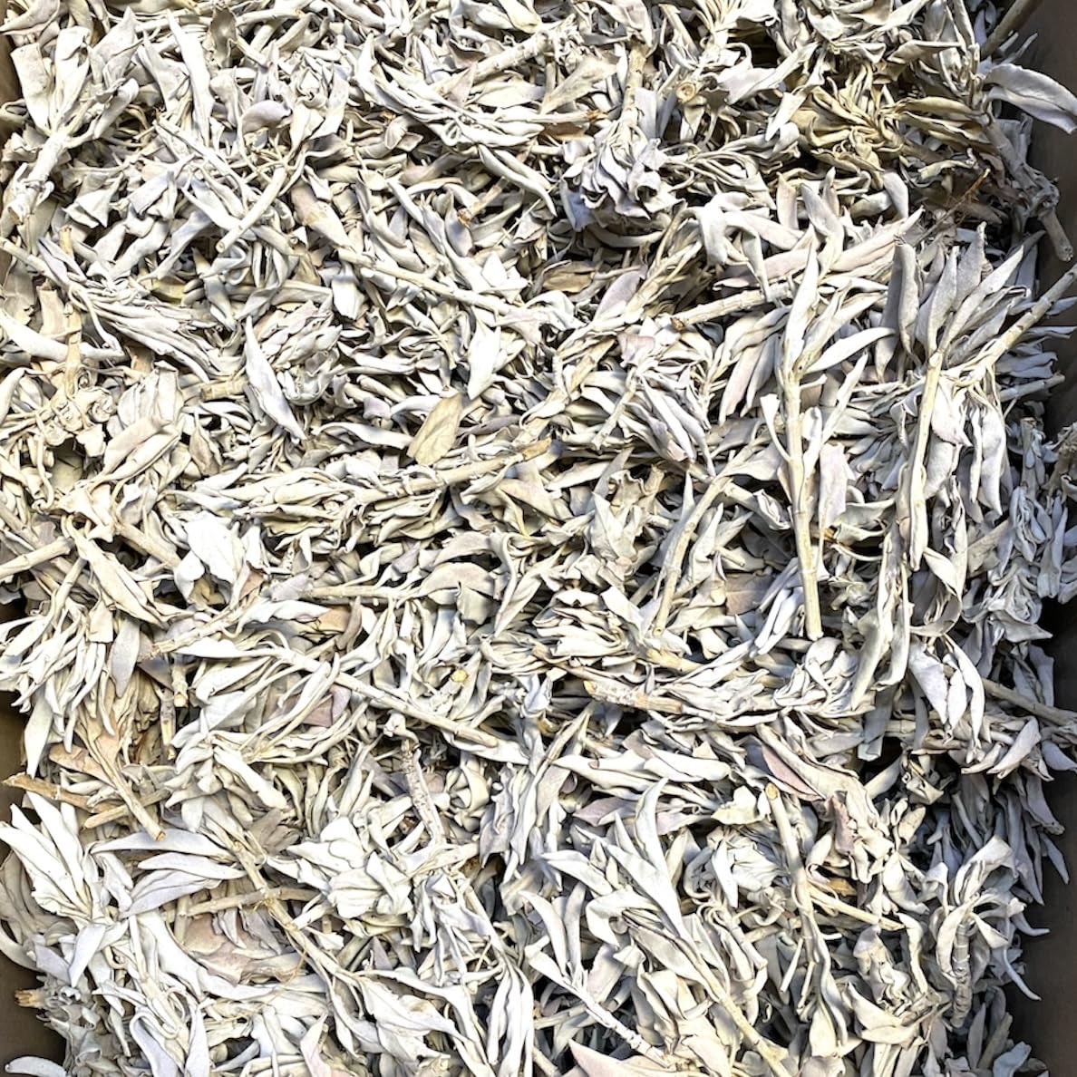 NessaStores 4 oz, White Sage, 4 oz | 1/4 lb - Image 3