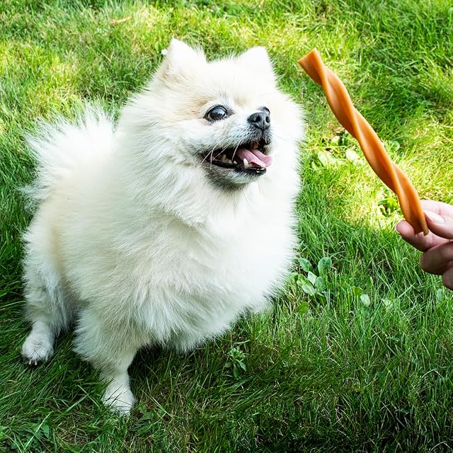 Foto 4 de 8 de Garden Bites Fruity Dental Swirls - Snacks Vegetarianos para Perros - Sin Gluten - Sabor a Fruta