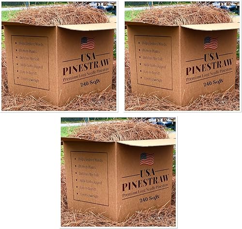 Miniatura 10 de Paja de pino de EE. UU., mantillo de aguja de pino de primera calidad (mantillo de aguja de pino, cubre 100 pies cuadrados, 2 juegos)