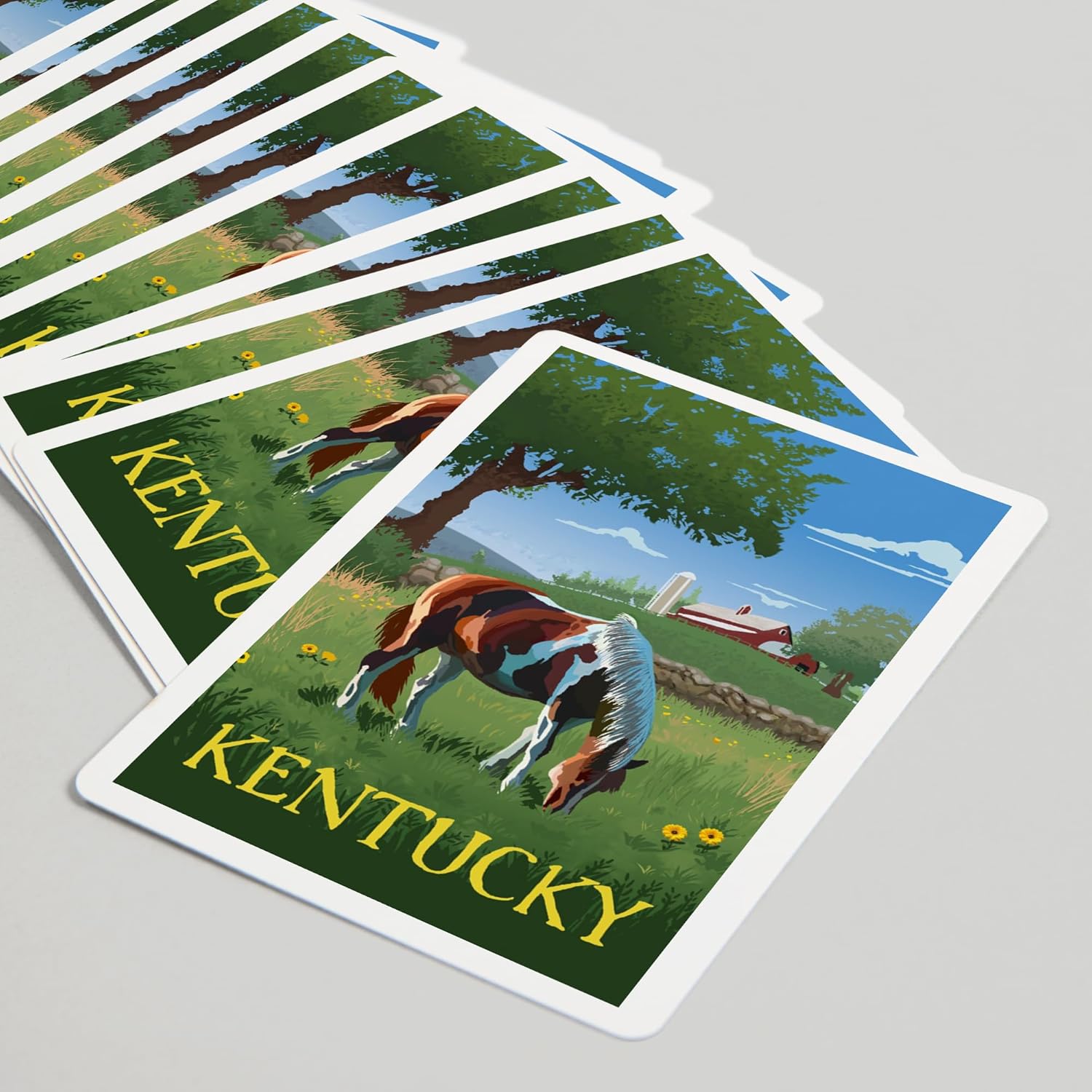 Lantern Press Kentucky, Horse in Field, 52 Playing Cards for Adults, Poker Size Card Deck