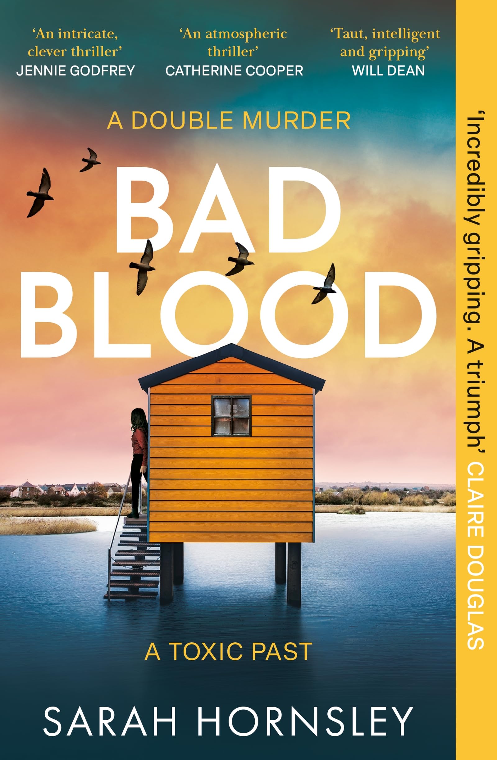 Bad Blood: an explosive psychological crime suspense thriller with a triple