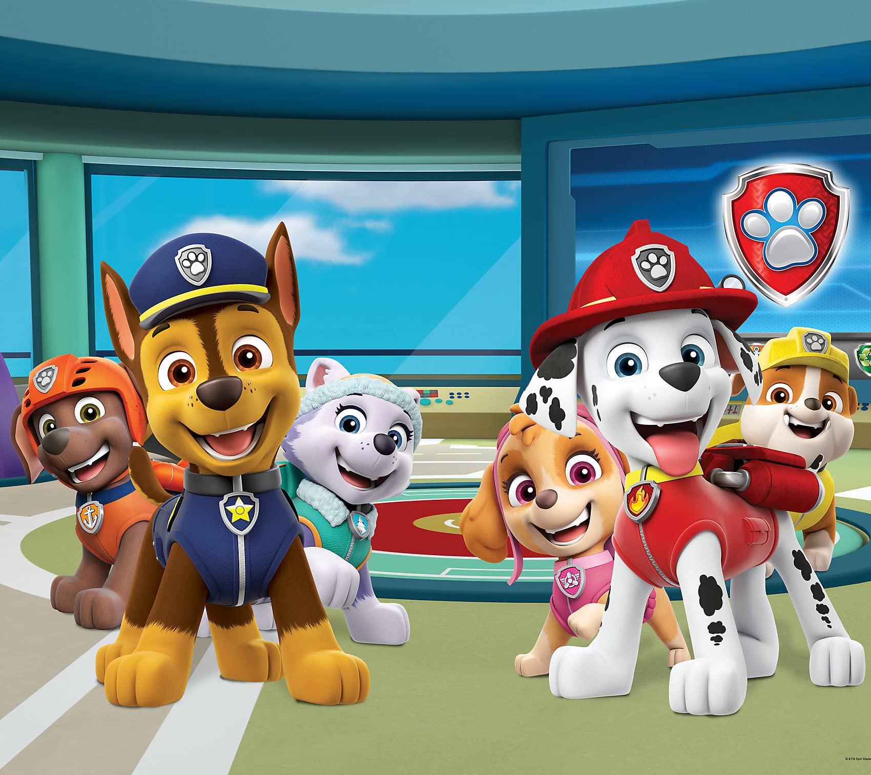 AG Design Paw Patrol Station Lot de 2 Rideaux pour Chambre d'enfant Multicolore 180 x 160 cm