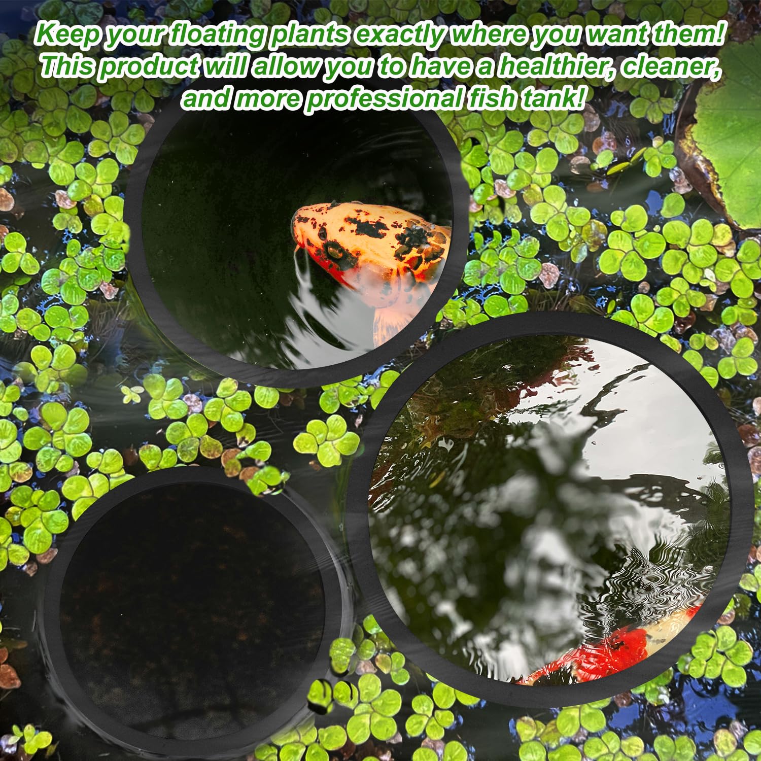 XIHIRCD 5pcs Aquarium Floating Plant Rings - Image 3