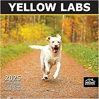 Vista 31 de MICASA PRESS Corgi Butts - Calendario de pared 2026 de 12 meses 12 x 24 pulgadas abierto Papel grueso y resistente Regalo de vacaciones