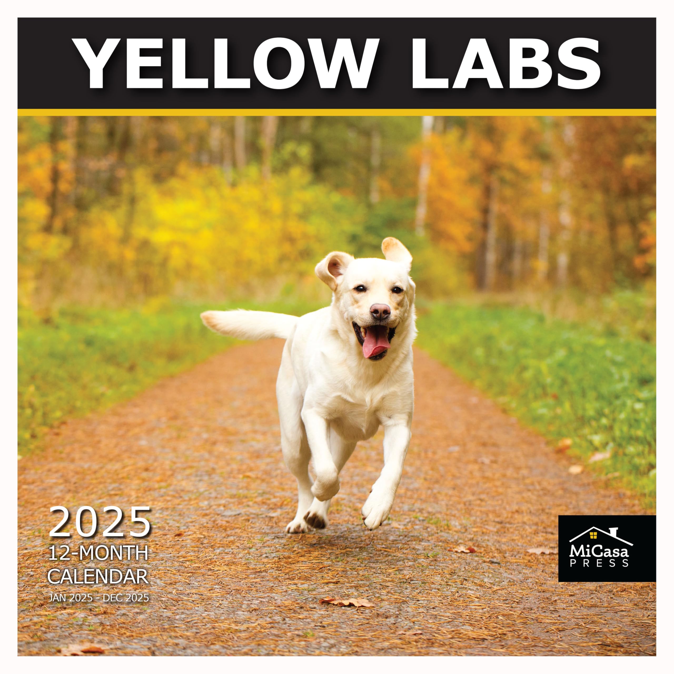 MICASA Yellow Labs 2025 Wall Calendar 12 Month | 12" x 24" Open | Thick &amp; Sturdy Paper | Giftable | Calendar 2025