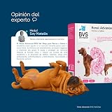 Ver la foto 7