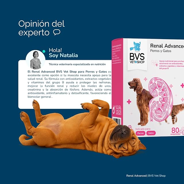 Foto 7 de 7 de BVS Vet Shop