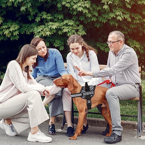 Miniatura 7 de Dogline Parche personalizado con letras con brillantina para perro, chaleco, arnés o collar, parches personalizables con texto brillante