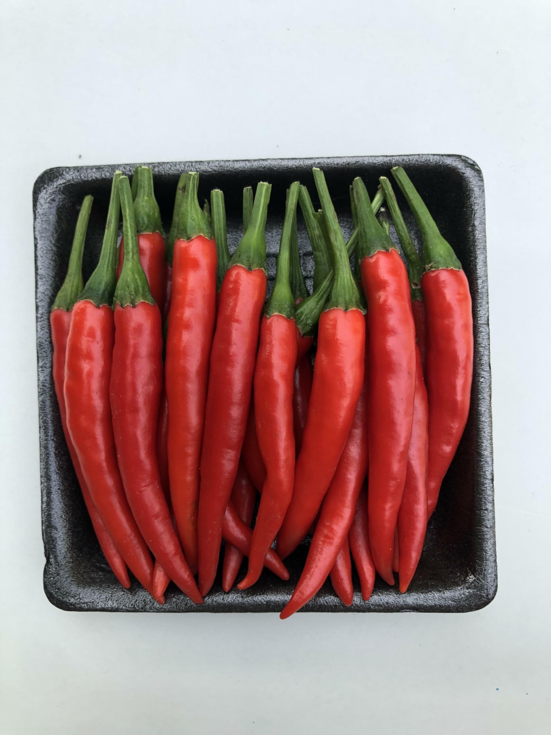 Willvine Thai Premium Red Chilli-KGF-3U-image-18
