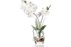 Elegant Glass Vase Enchanting Artificial Orchid Flower