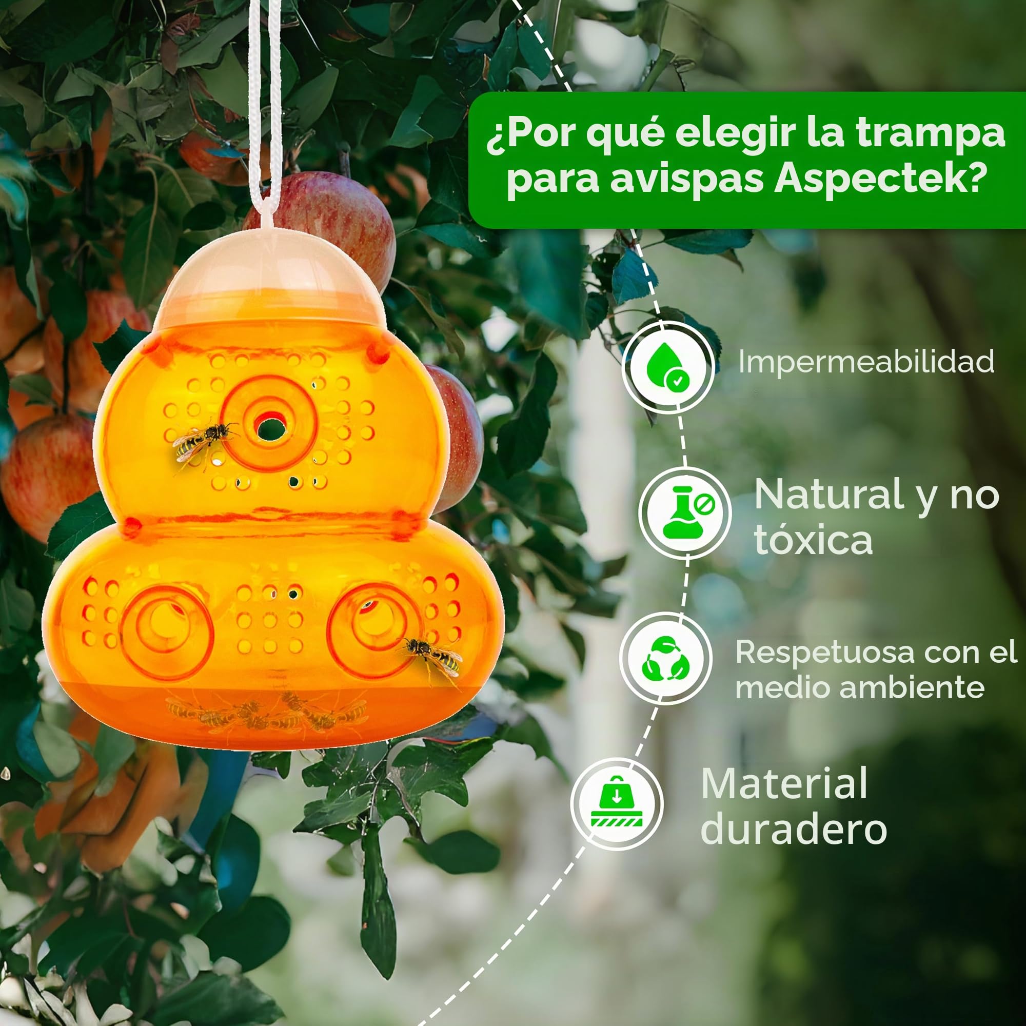 ASPECTEK Trampa para Avispas Trampa para Avispón, Abeja y Avispa Abejorro. 2 Unidades (Trampa de Abeja)