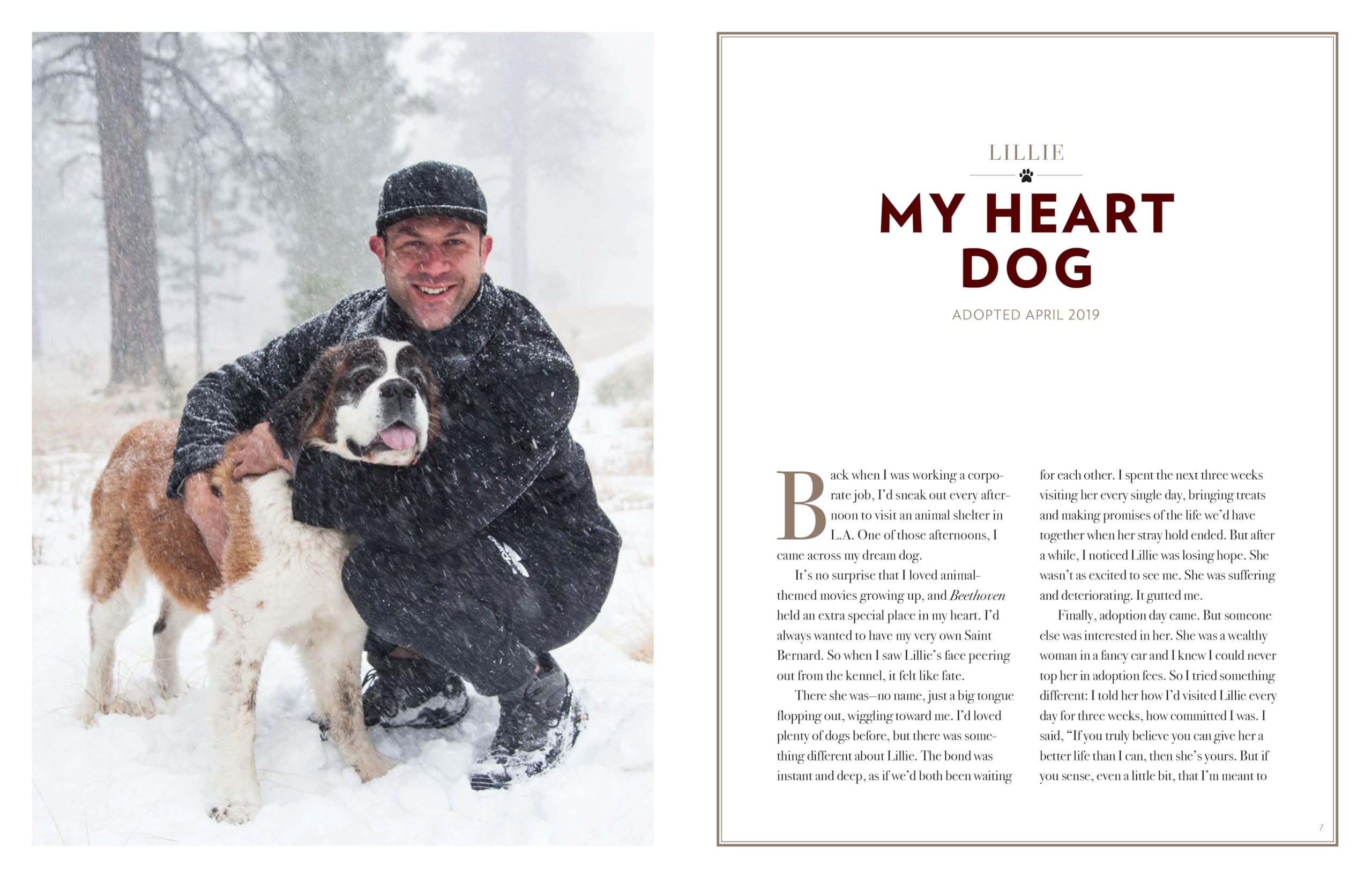 Saved by the Pack: How 50 Dogs Helped Me Find My Purpose