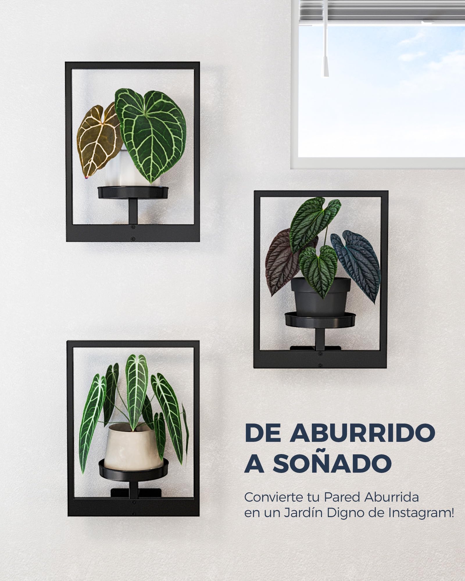 Bamworld Soporte Plantas Interior, Macetero Colgante para Pared, Estantería para Plantas, Porta Macetas, Pedestal para Plantas de Interior, Juego de 3 para Entrada Exterior