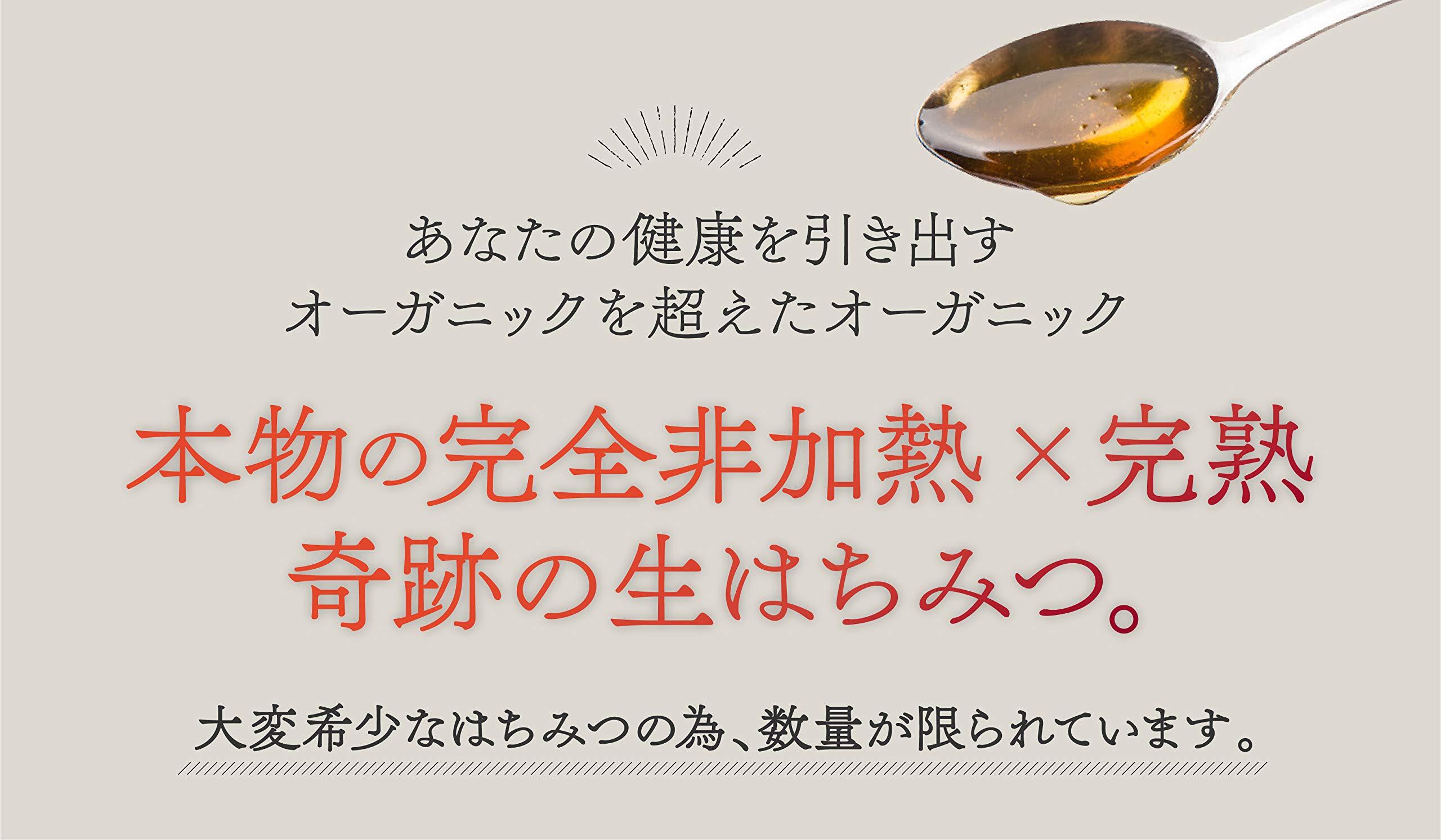 森羅万象 はちみつ 非加熱 完熟 600g 森羅万象 はちみつ 600g 天山蜂蜜 完熟 非加熱 奇跡の 生はちみつ