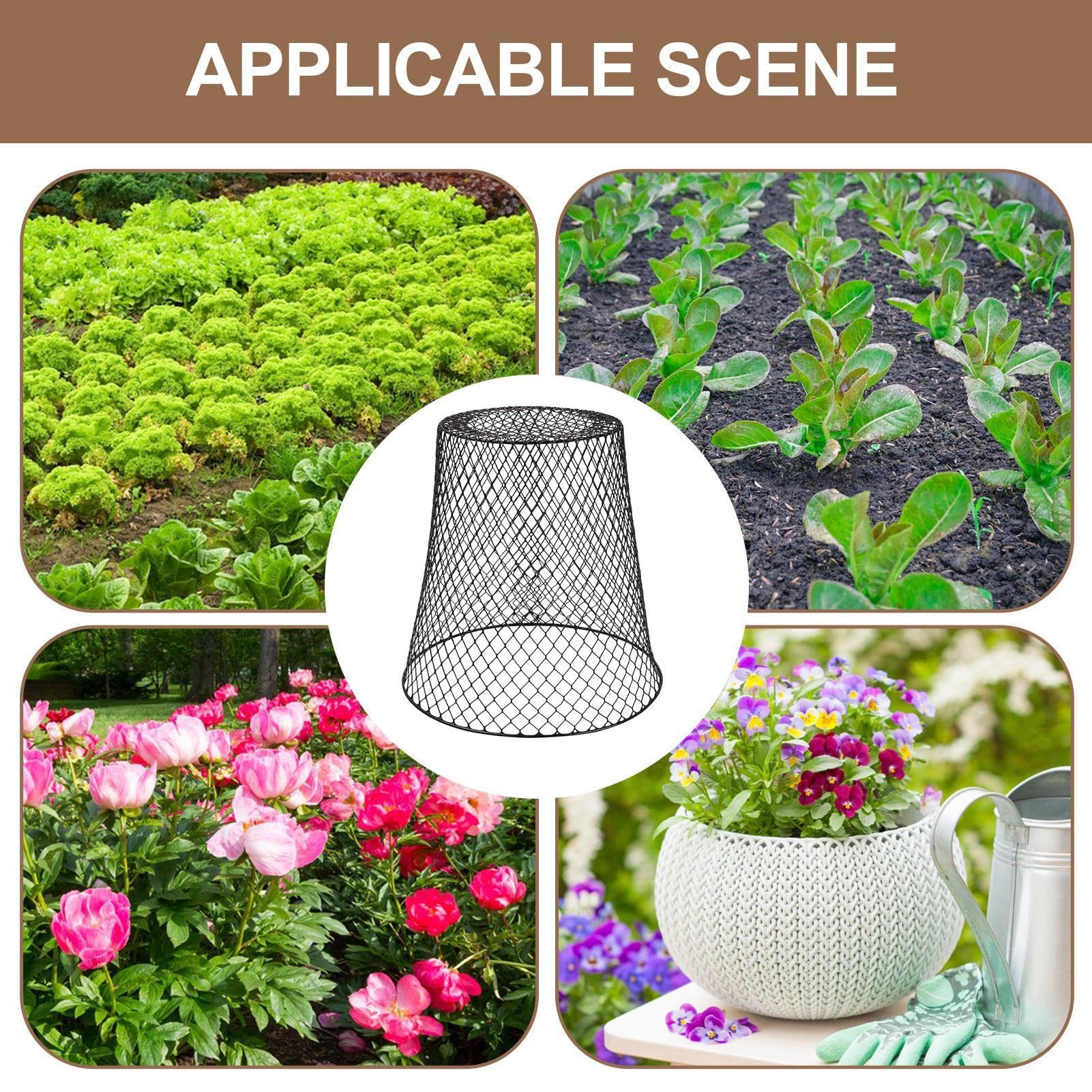 Cloches de Protection pour de Jardin 5 Pièces de Clôture Anti-Animaux en | Cloche De Protection Pour En Grillage À Poule Pour Les Légumes, Les Myrtilles, Fleurs, Et Arbustes
