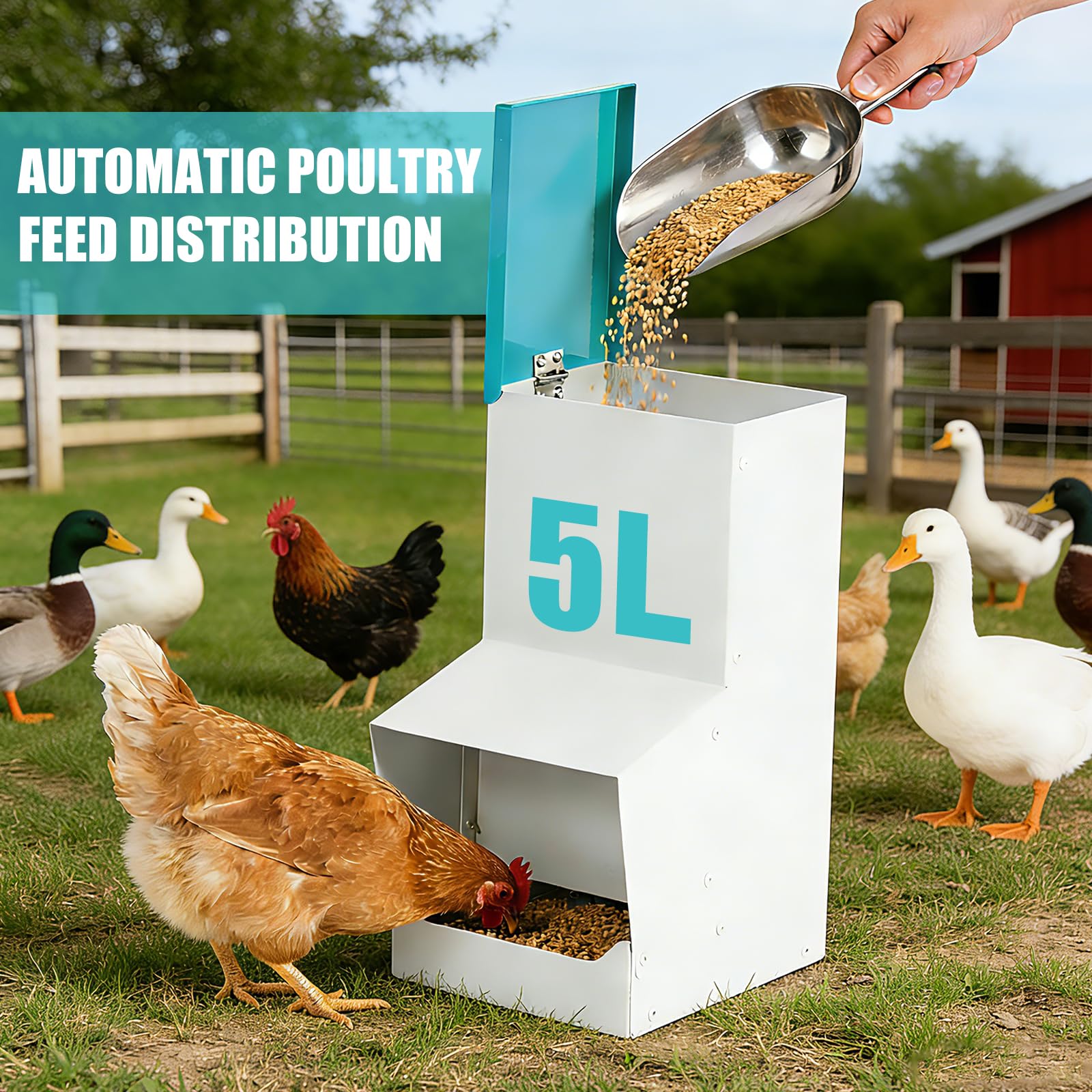 Comedero Automático para Gallinas, Metal, 10L Distribuidor Automático de Alimento, Comedero Colgante para Patos, Pollos, Antidesperdicio
