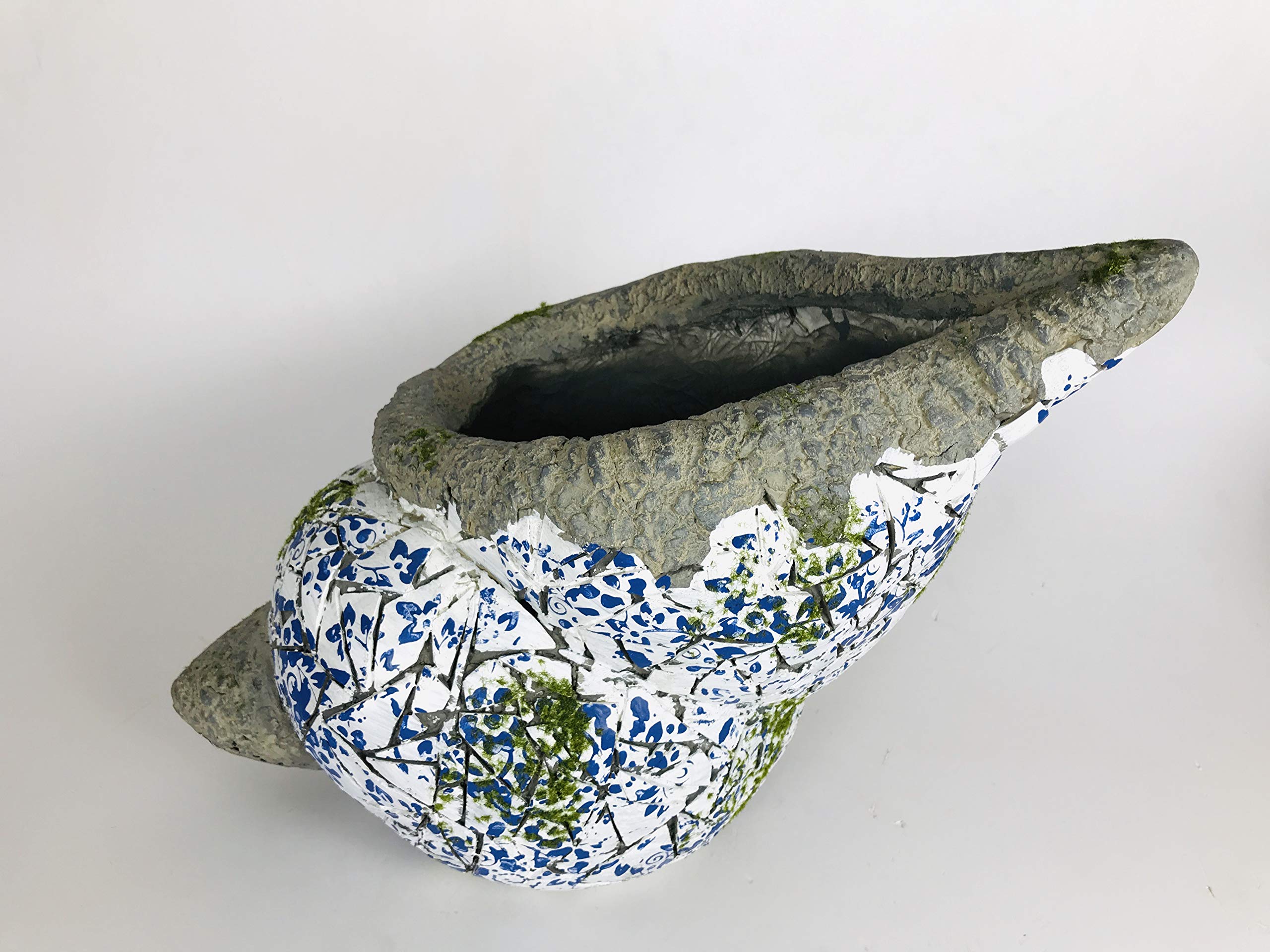 Paudhe Se Yaari Counch Shell Planter Pot (Grey, White & Blue)