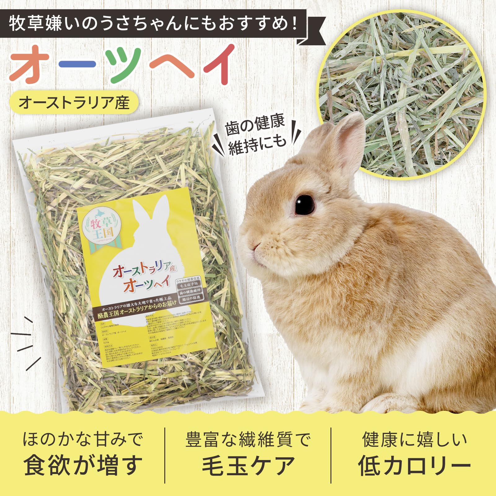 Amazon | 牧草王国 オーツヘイ オーストラリア産 特選 500g 牧草