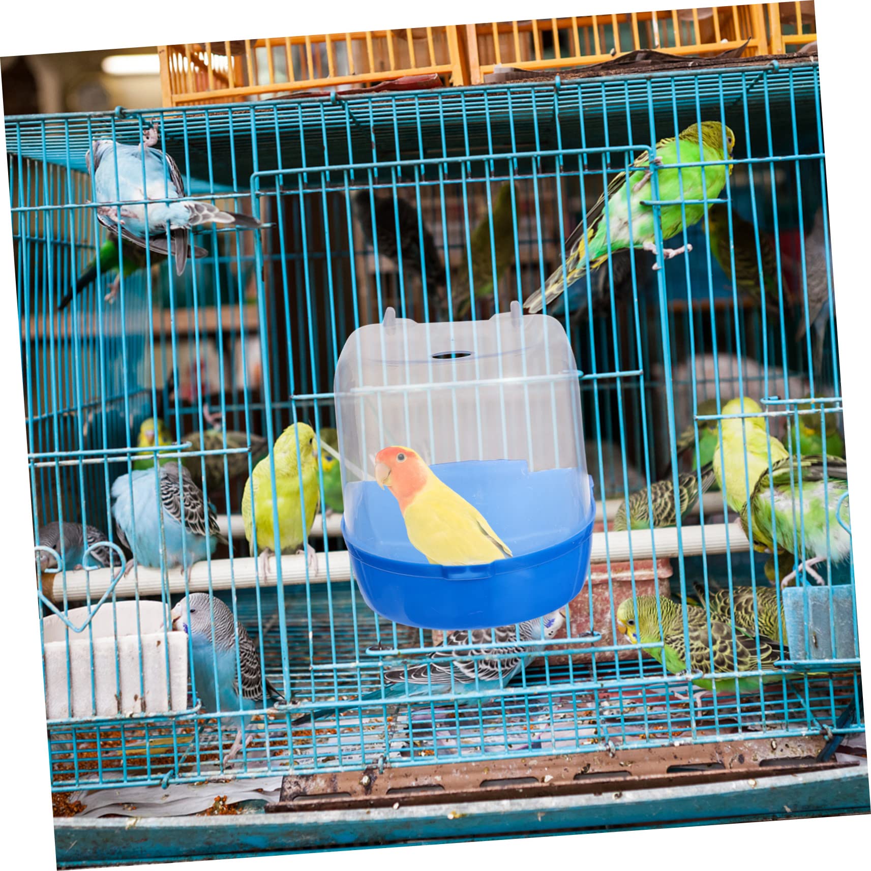 COLLBATH 4 Stück papagei badewanne Vogeltränke für Käfig tragbare Dusche Zubehör für Vogelkäfige Wellensittichbad Schwimmbad praktische Vogelbadewanne Kleiner Vogelduschenwürfel Plastik