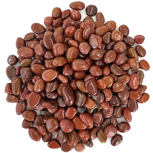 Koltose by Mash Piedras rojas pulidas de 10 libras. Rocas de  a 1 pulgada para plantas, jardín, paisajismo, suculentas, pecera, grava, terrario,