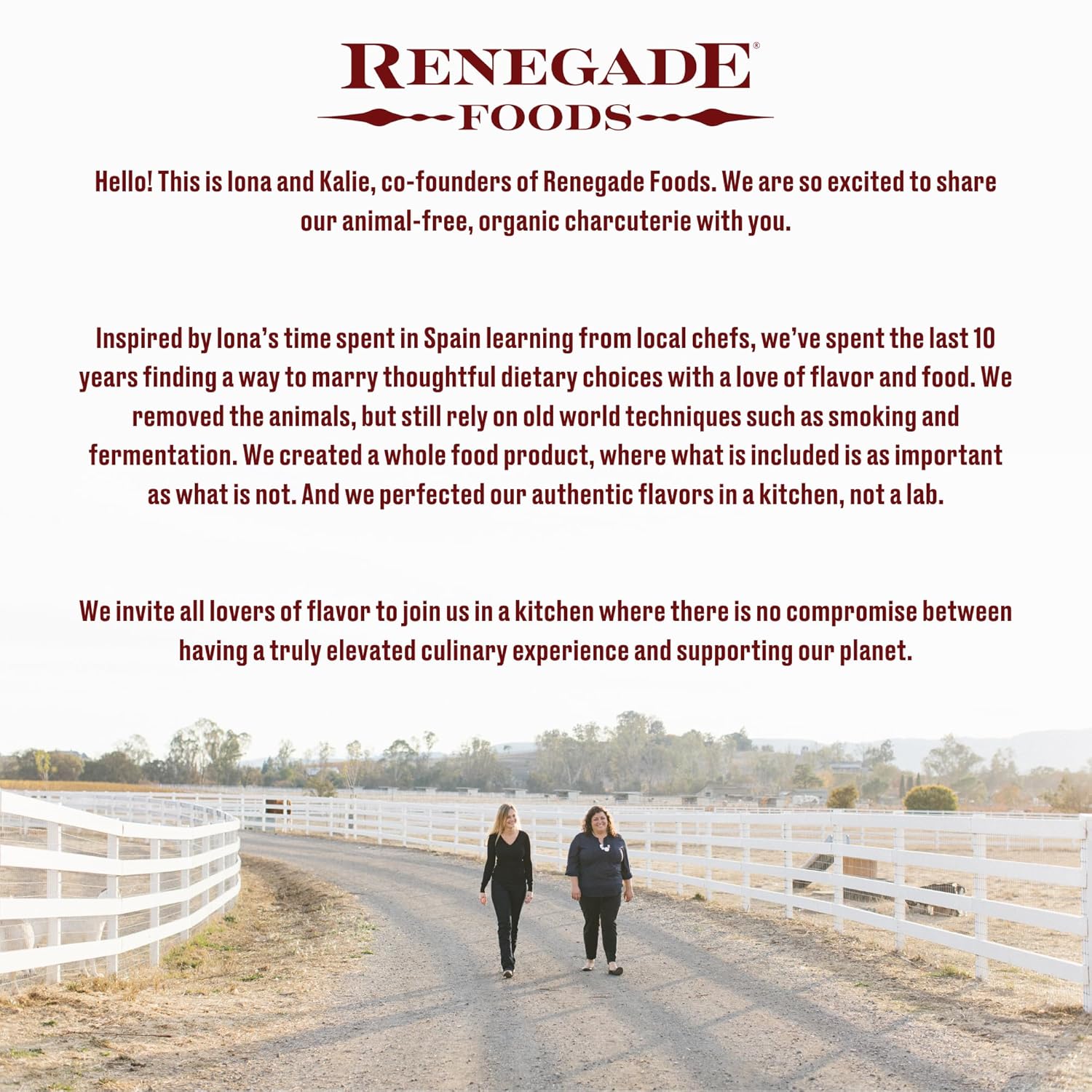 Renegade Foods Vegan Salami Sticks Variety | 9 Pack | Approx. 7 Inch Sticks | High Protein, Low Sugar, Seitan, Non-GMO | USA Made | 110 Calories & 13-14g of Protein Per Stick