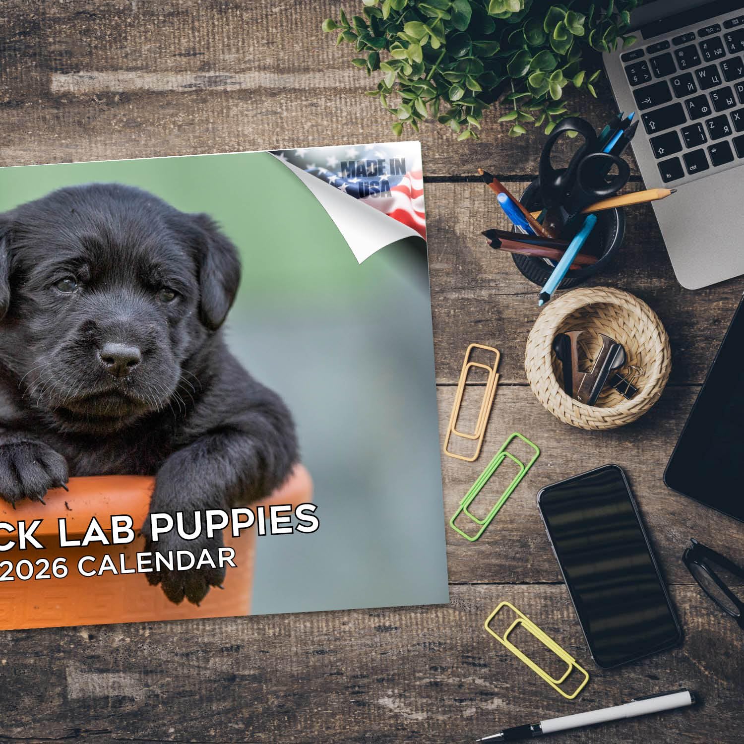Calendario 2024 2025 Labrador Pups negro – Calendario mensual de pared de raza de perro – 12 x 18 pulgadas abierto – Papel grueso que no se corre – Regalo – Calendario académico para profesores,